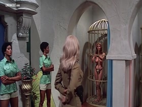 Uschi Digard, Dyanne Thorne, Colleen Brennan and Tanya Boyd bare it all in a steamy group nude scene from The Dirty Angels (1972)