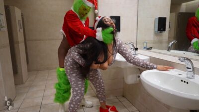 my favorite christmas doggy in the bathroom